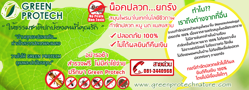 บริษัท ทีเคเค อินเตอร์เนชั่นแนล จำกัด